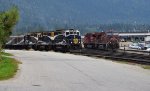 Freight & Passenger Trains Meet